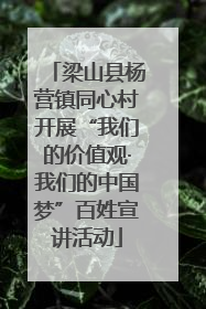 梁山县杨营镇同心村开展“我们的价值观·我们的中国梦”百姓宣讲活动